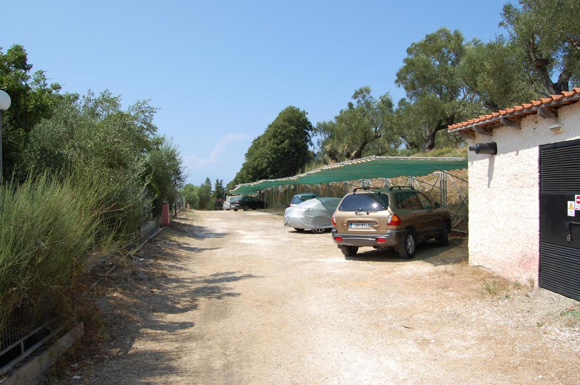 Zante Palace Tsilivi  Dış mekan fotoğraf