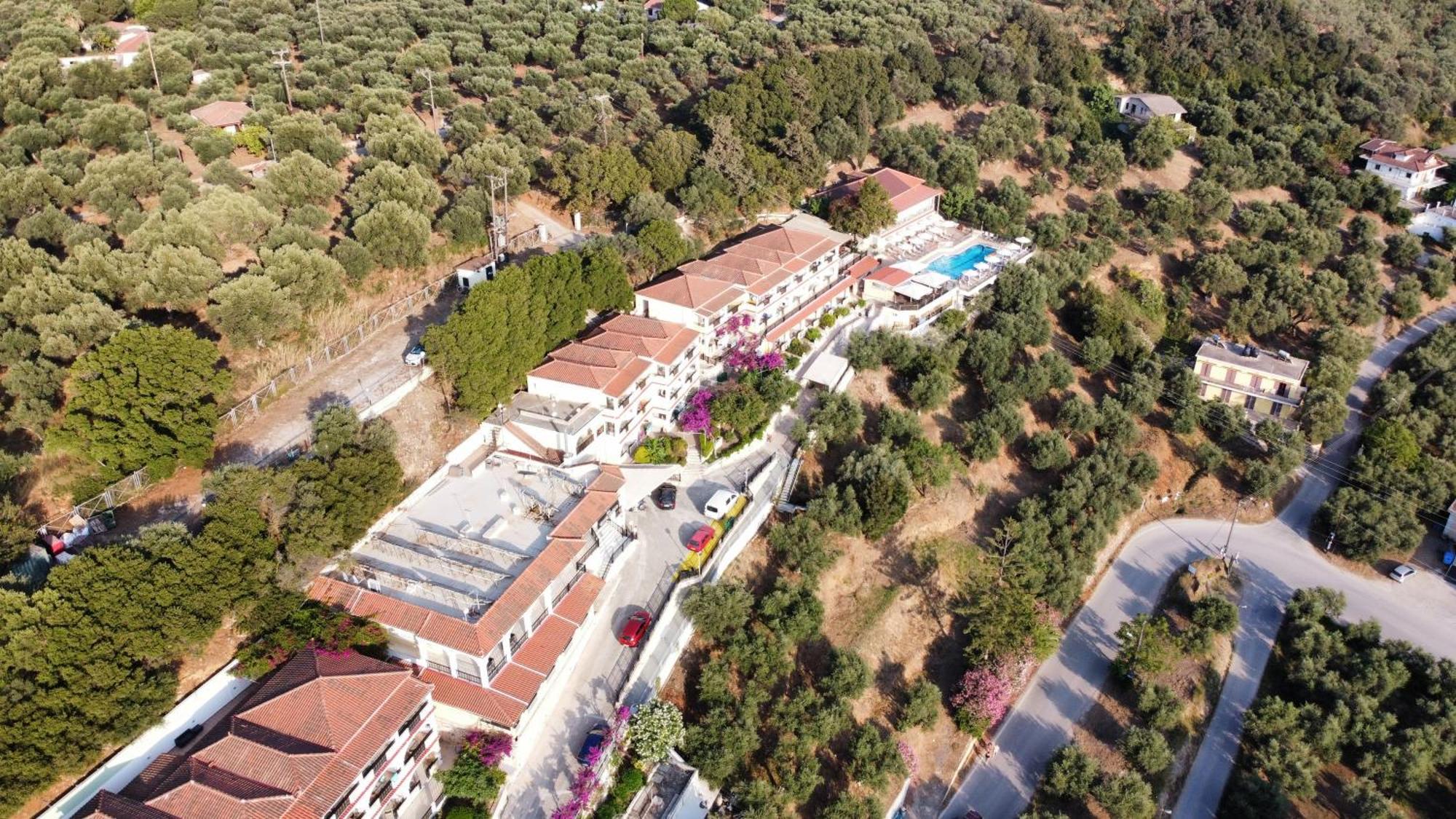 Zante Palace Tsilivi  Dış mekan fotoğraf